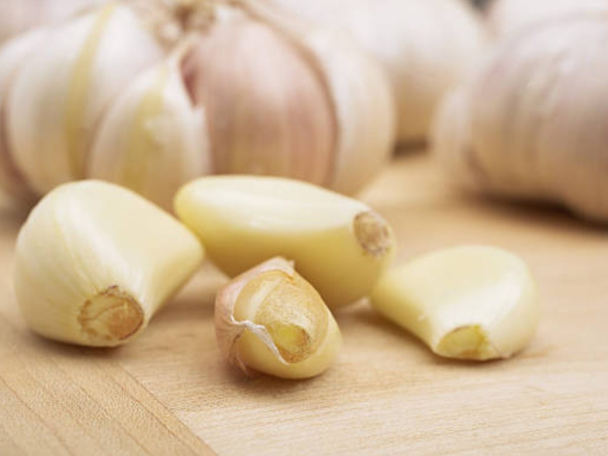 Garlic for pest control