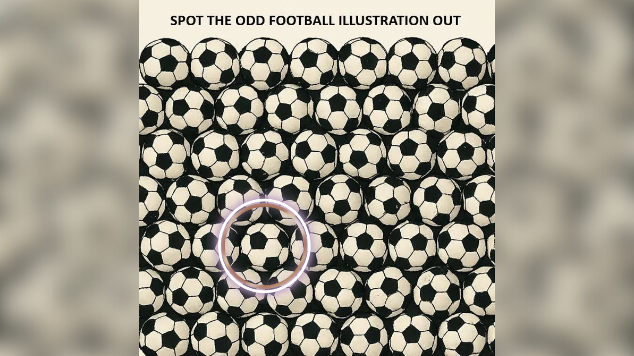 optical illusions (43)