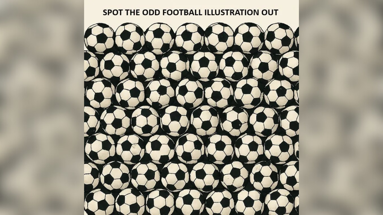 optical illusions (42)