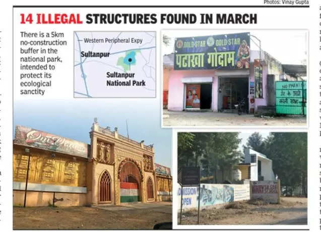 Buildings encroach bird haven, green buffer shrinks in Gurgaon: Farmhouses, banquet halls among illegal structures constructed close to Ramsar Site