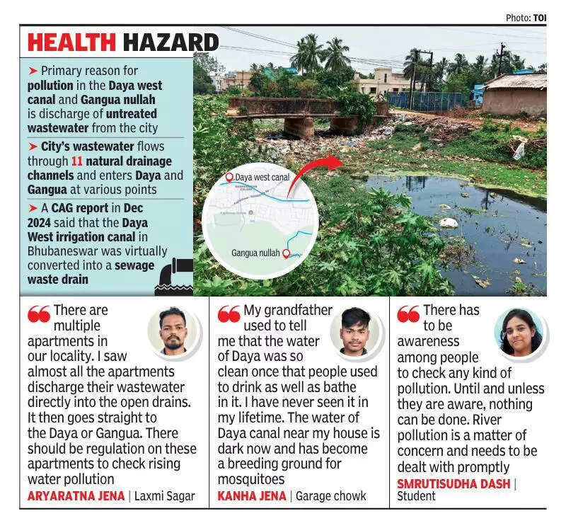 Lens on deteriorating water quality of Daya canal & Gangua nullah