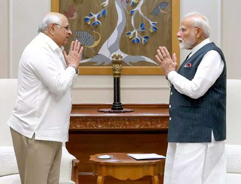 CM Bhupendra Patel meets PM Modi in Delhi