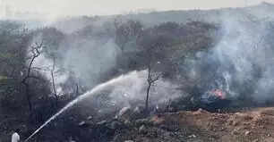 Forest fire rages near Bandhwari, blocked roads hit op to douse it