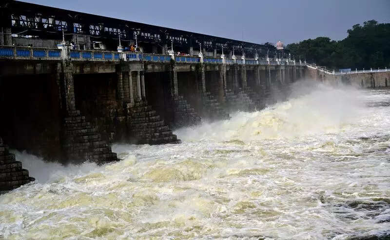 Andhra cuts supply to Poondi to repair canal