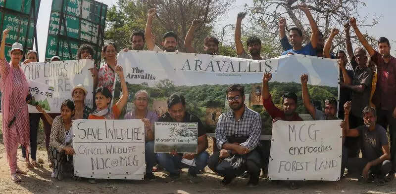 Activists rally to protect Aravali forests, demand drive against encroachers