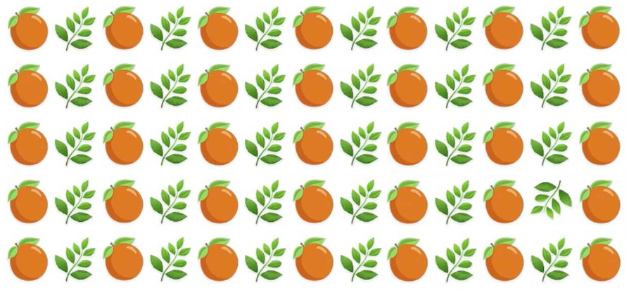 Only a person with excellent creative skills can spot the odd one out