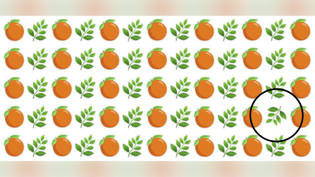 optical illusion (54)
