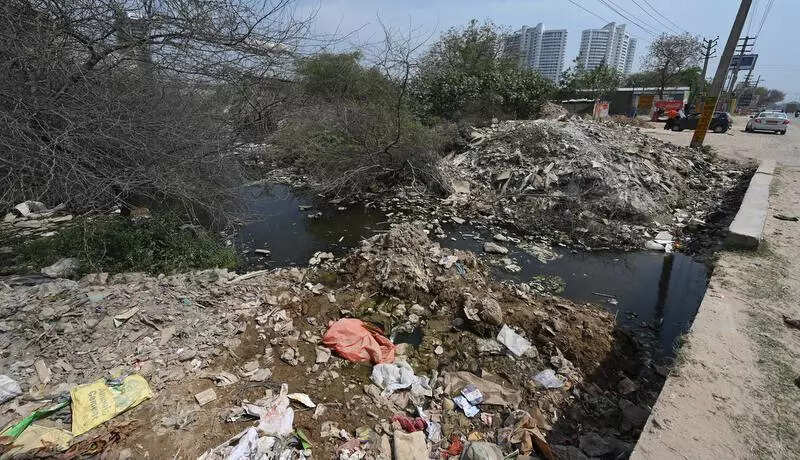 Plea flags garbage dumping in creek off Delhi-Gurgaon Expressway, NGT seeks govt reply