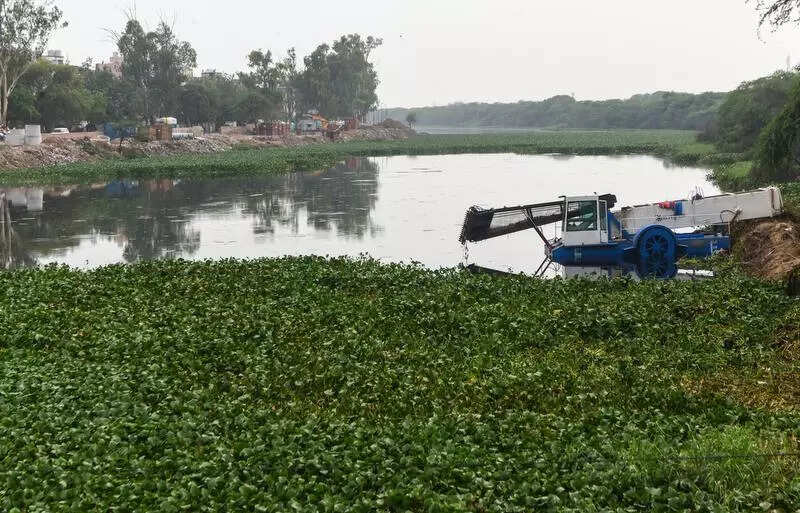 Delhi govt tightens drain cleaning rules to prevent roadside debris