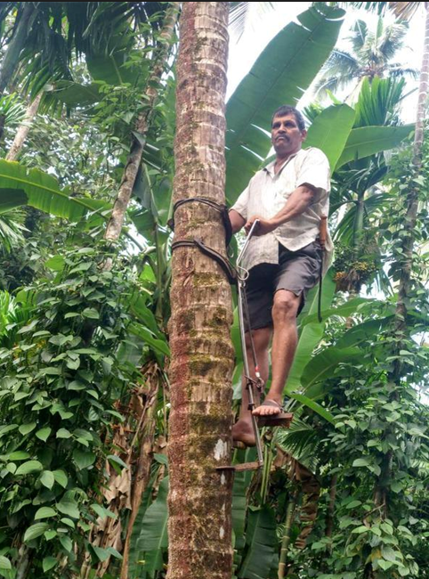 Goan organic farmer’s self-sufficient paradise blooms in remote nook of Pernem