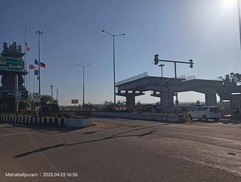 NHAI defends use of pond land for building underpass near Mamallapuram, says road safety took priority