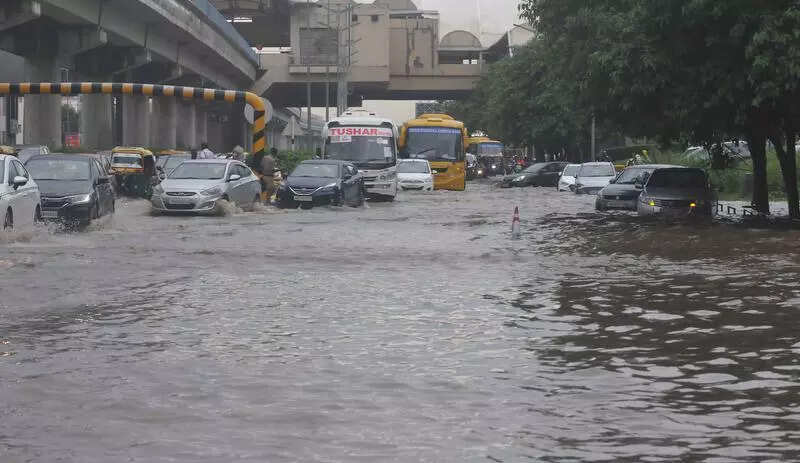 Pollution board must inspect all STPs in 15 days, says industries and commerce minister Rao Narbir Singh