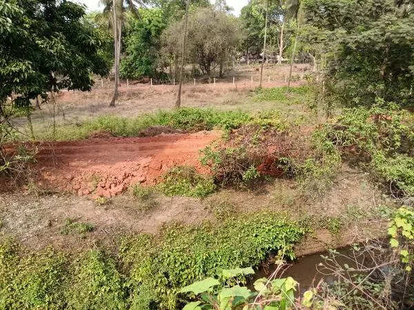 Mud-filling along Bicholim rivulet spurs pushback
