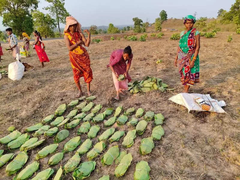 Koraput villagers seek govt nod to sell kendu leaf to private parties