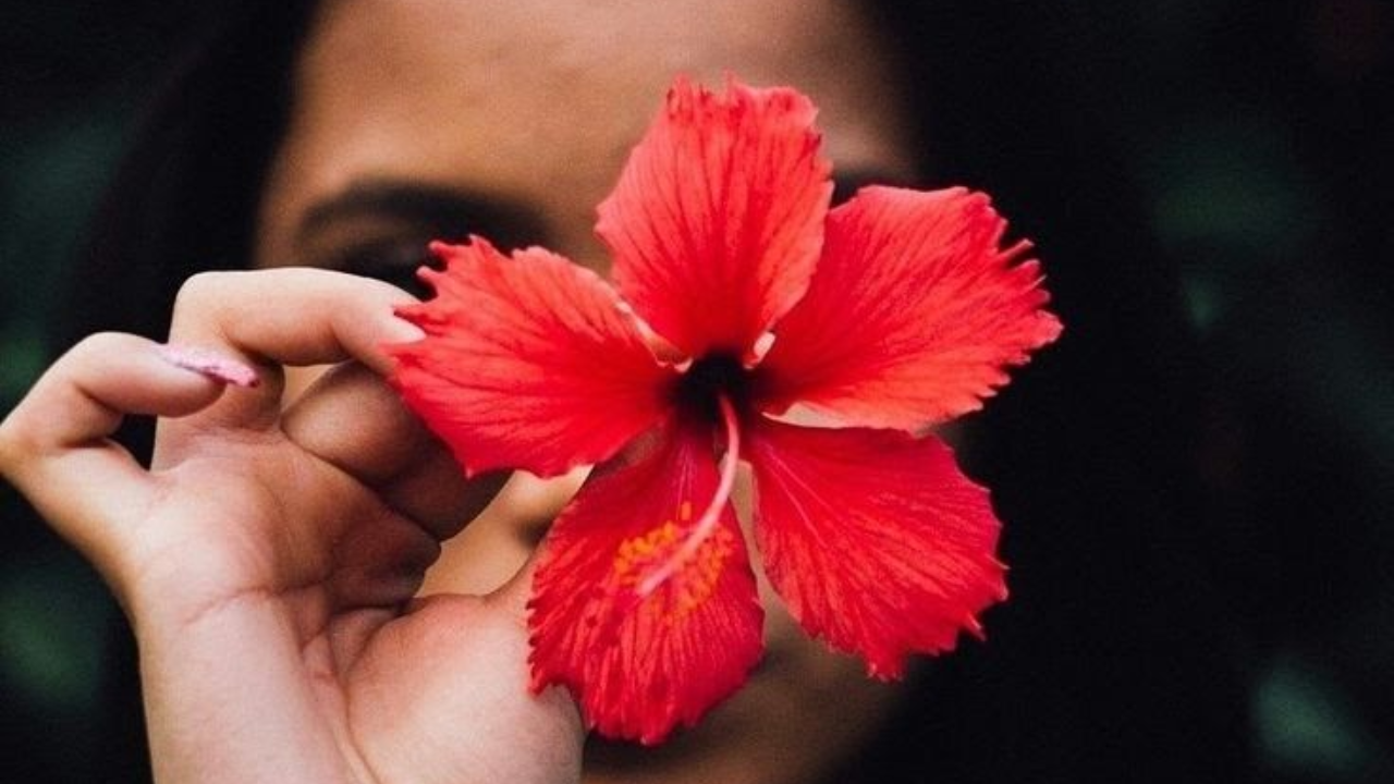 Hibiscus beauty benefits