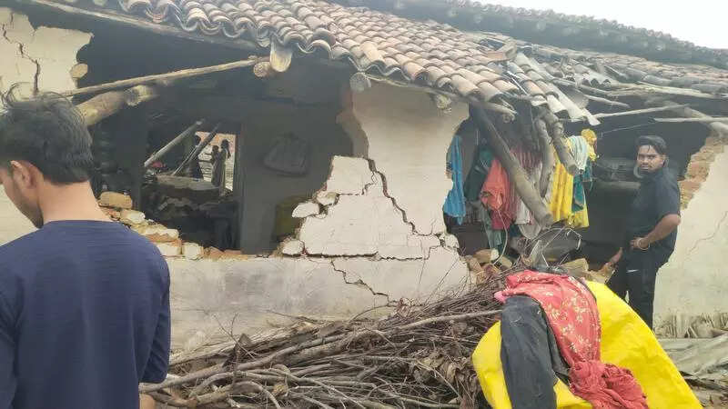 Elephants raze houses in Chatra
