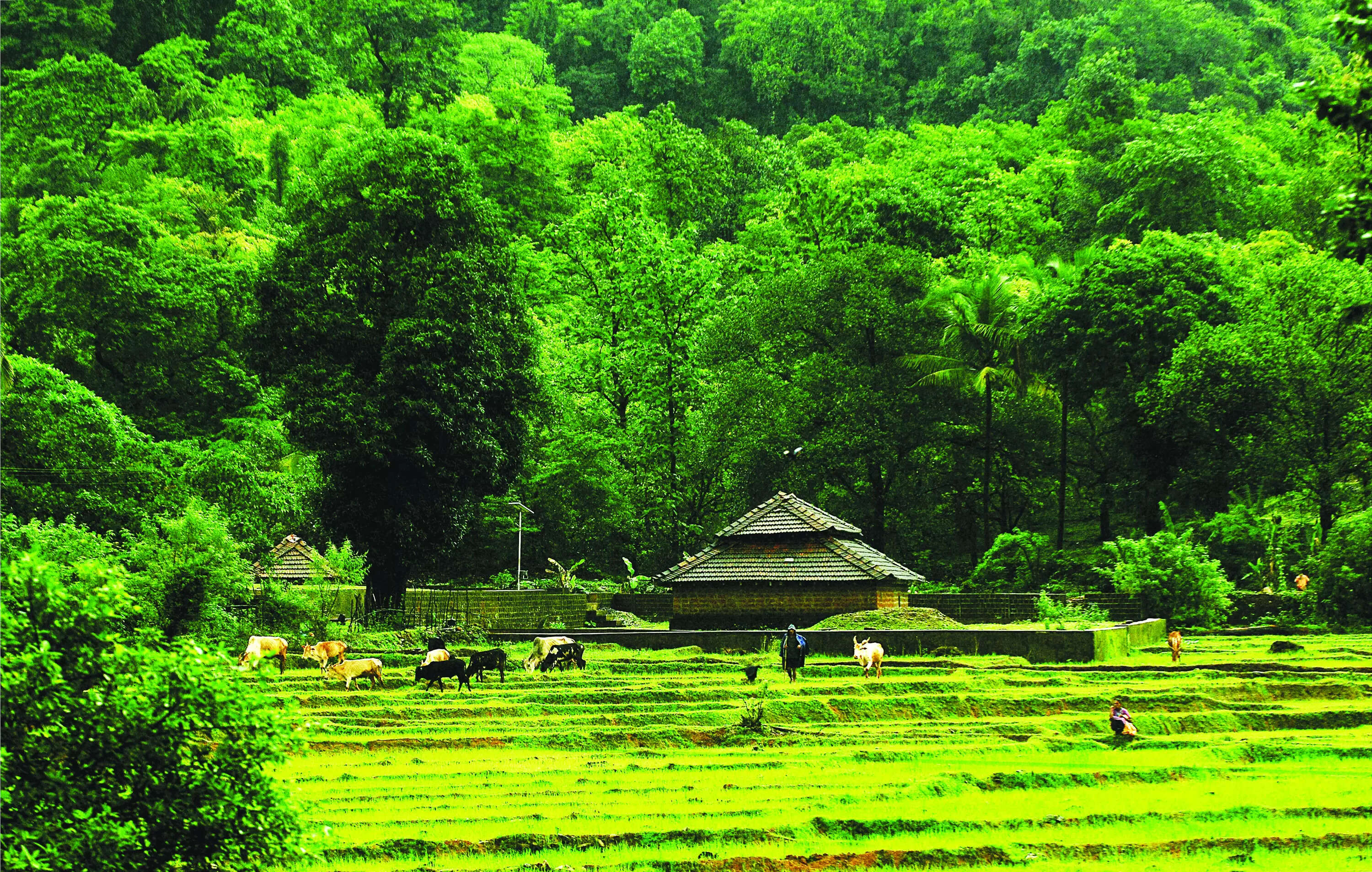 Environment body issues fee deadline for green approvals