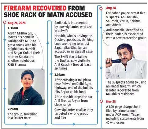 Boy’s murder by vigilantes on Delhi-Agra highway: Wrong gun in police custody