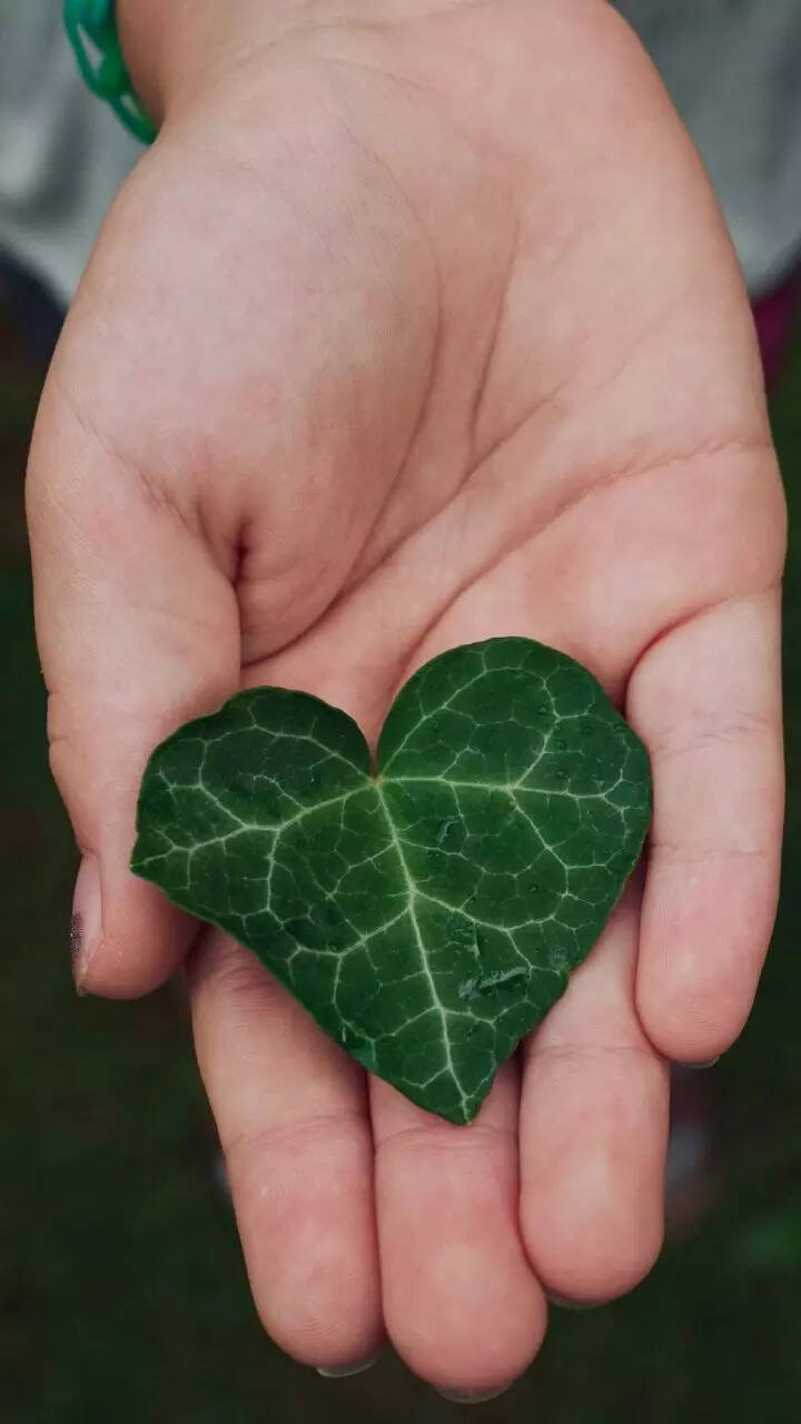 State ranks 4th in nature challenge