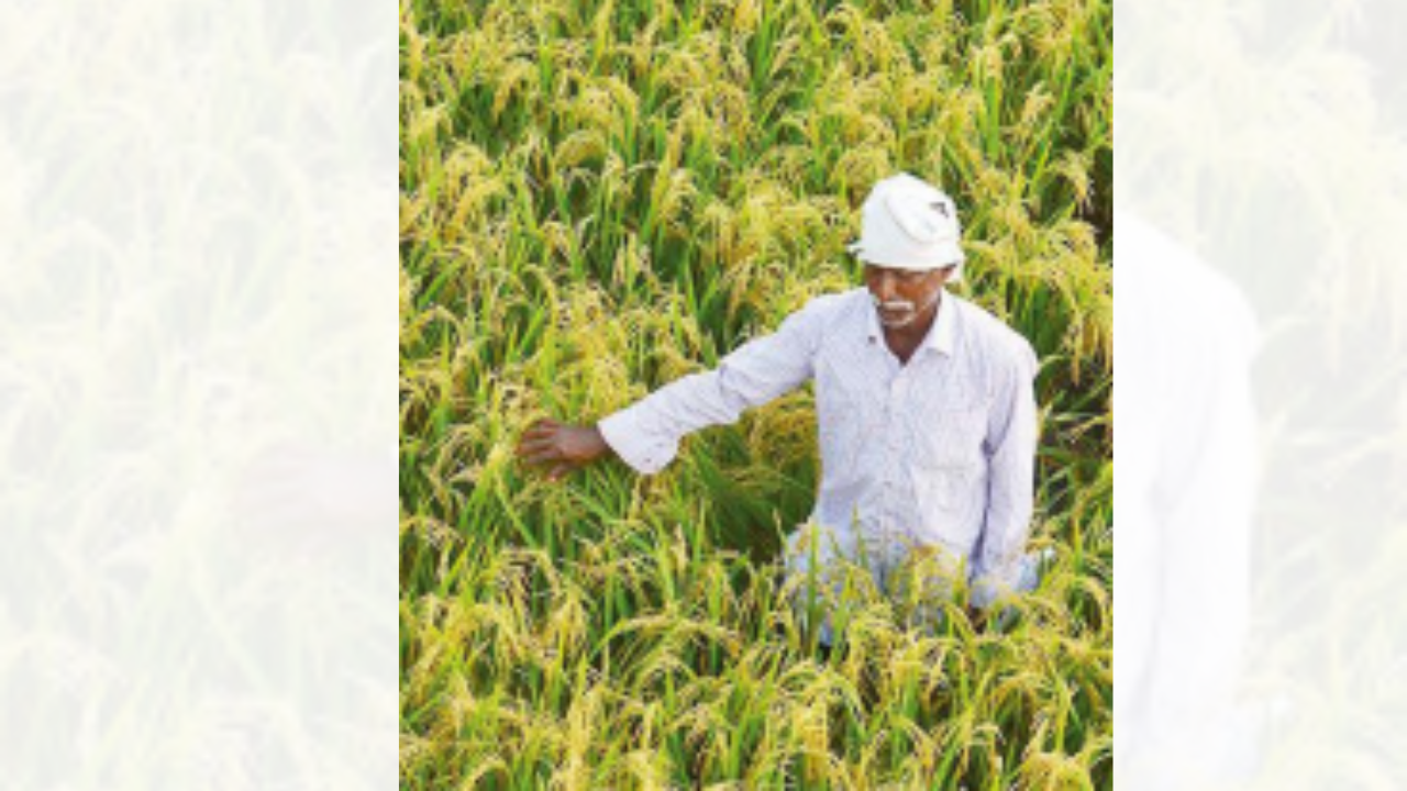 State scraps one rupee crop insurance scheme after discovery of fake applications