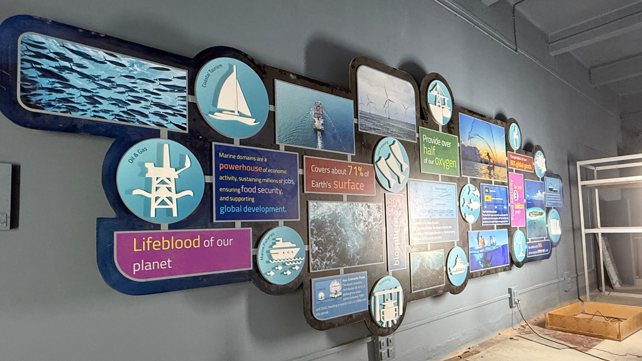 Lost at Sea: BITM's new gallery spotlights ocean conservation crisis