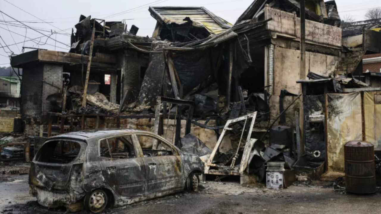Climate change made fire conditions twice as likely in South Korea blazes: Study