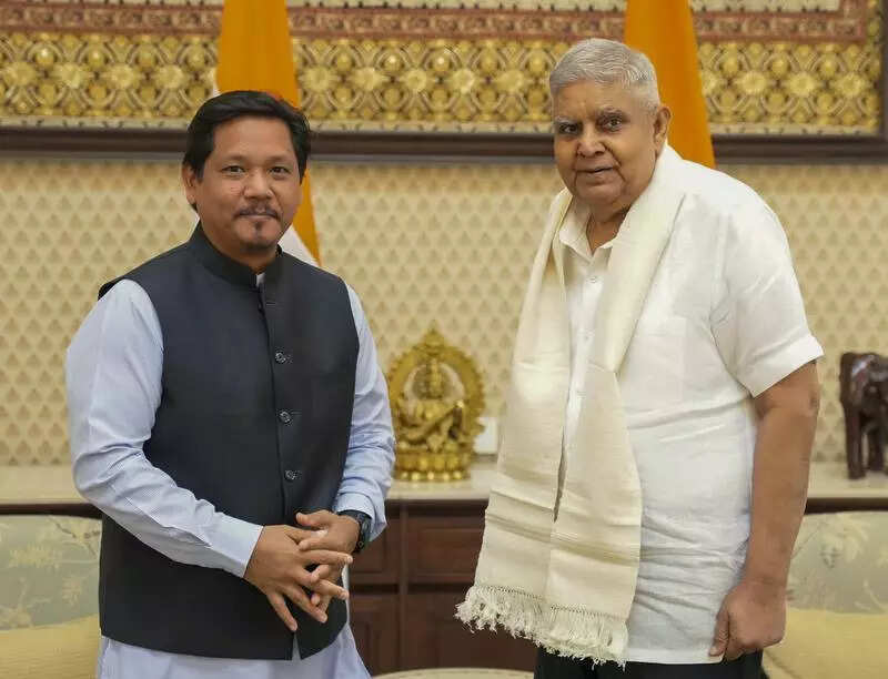 Pre-monsoon rain lashes Meghalaya, Conrad chairs meeting to review preparedness