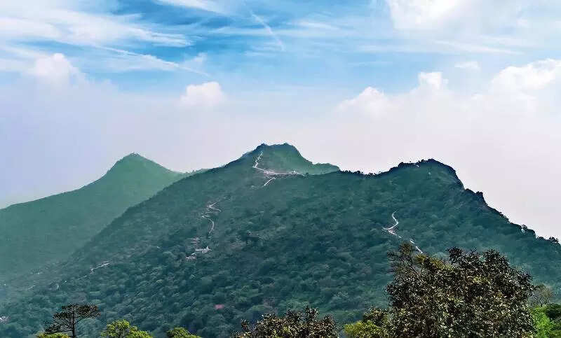 Protect Parasnath Hills: HC to state