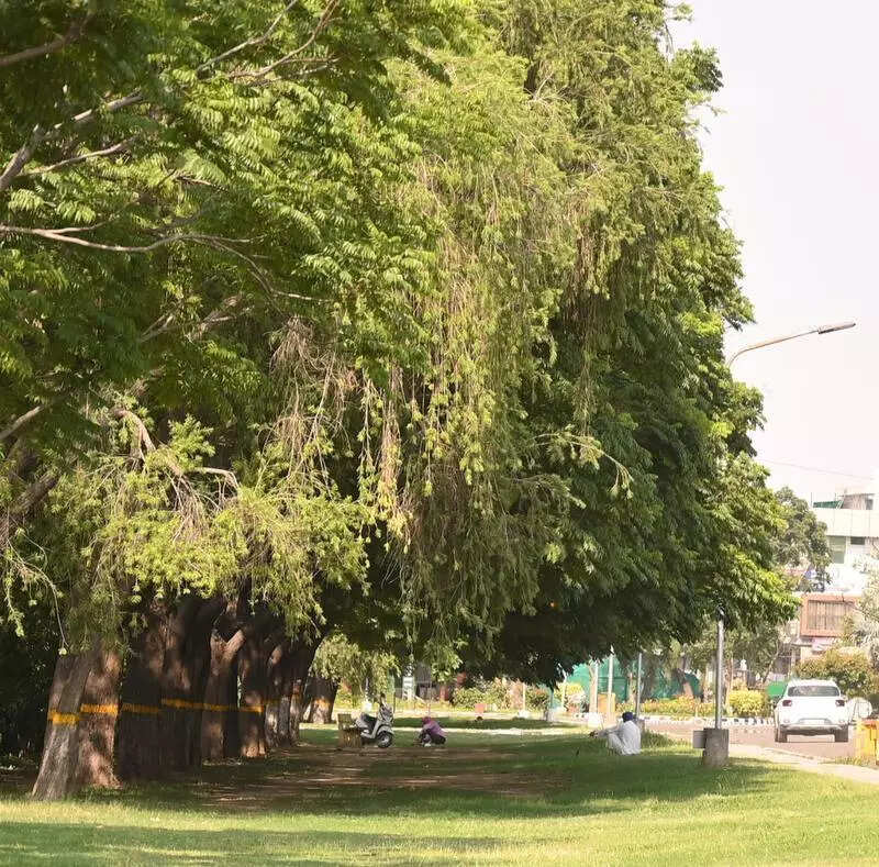 City experiences driest April in nine years as temperature rises