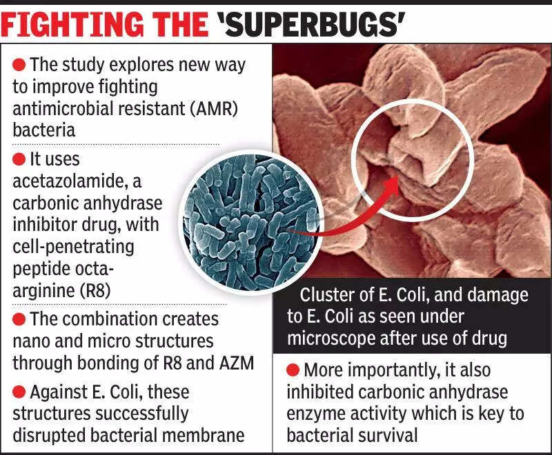 IIT-Gn repurposes diuretic drug to fight resistant bacteria