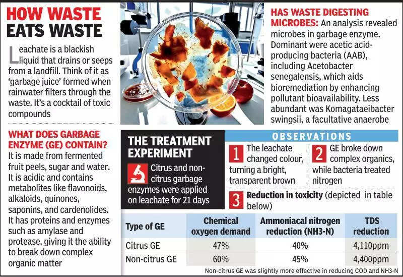 Experts ‘peel away’ Pirana’s leachate threat