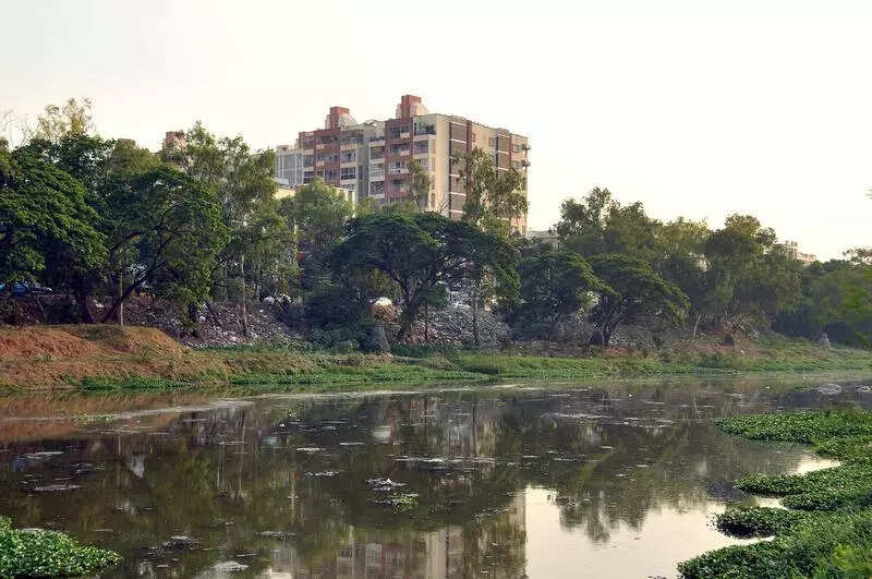 Mosquito menace stings Attapur residents, triggers health concerns