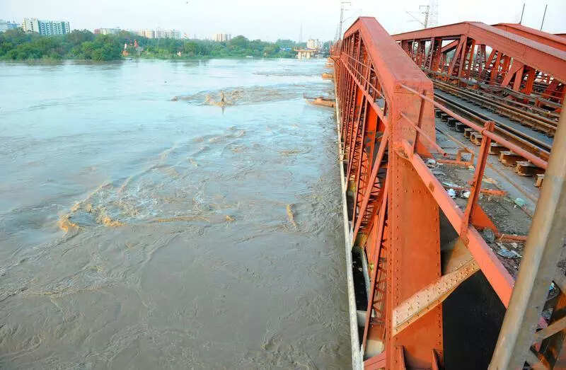 Man missing after jumping into Yamuna