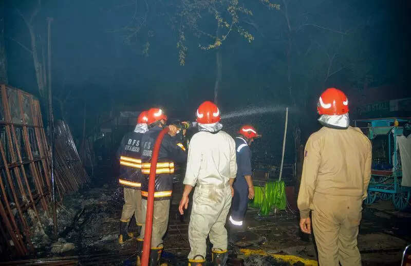 Lane & order: Delhi rolls out fire minis for congested areas