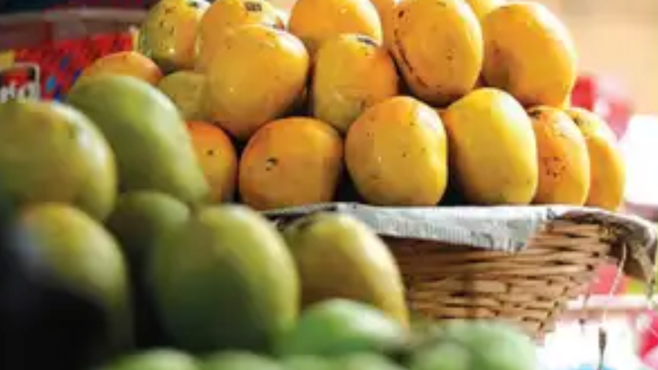 Farm incomes plunge 8x: Climate change stunting mango, cashew growth in Goa