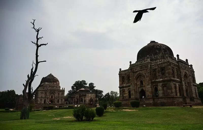 Surprise continues with cool weather, light rain