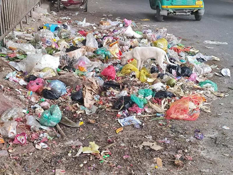 Cleanliness is next to godliness, but not near Bengaluru’s Banashankari’s temple