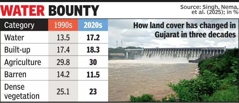 In 3 decades, Guj improves its lake, reservoir areas by 577 sq km: Study