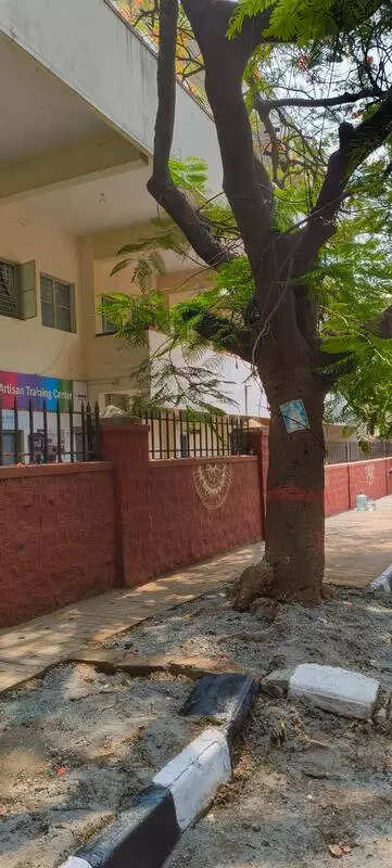 A breath of fresh air: Bengaluru teen leads community clean-up to reclaim public space