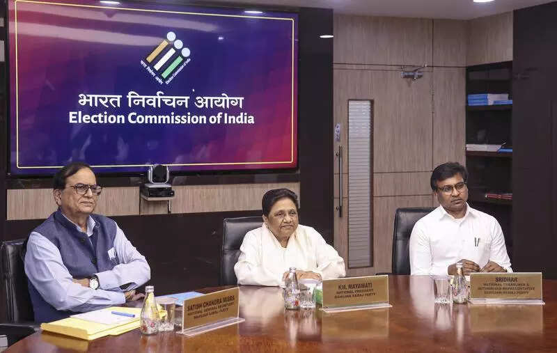 Maya meets CEC, suggests more VVPATs