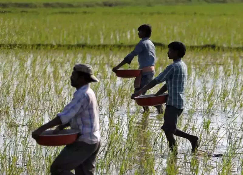 2.5mn farmers to get Kisan Credit Cards