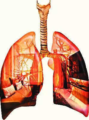 State human rights commission orders probe into dust nuisance from M-sand sales centre in Kollam