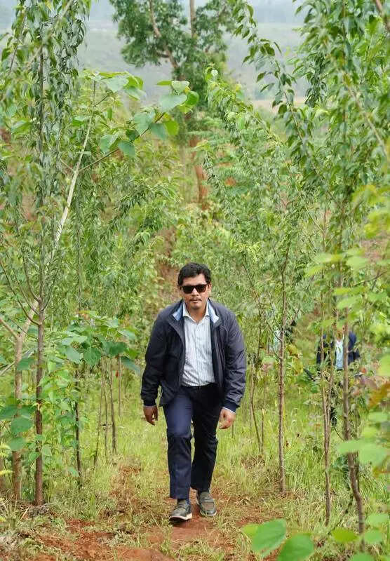 Meghalaya embraces Miyawaki method for promoting afforestation