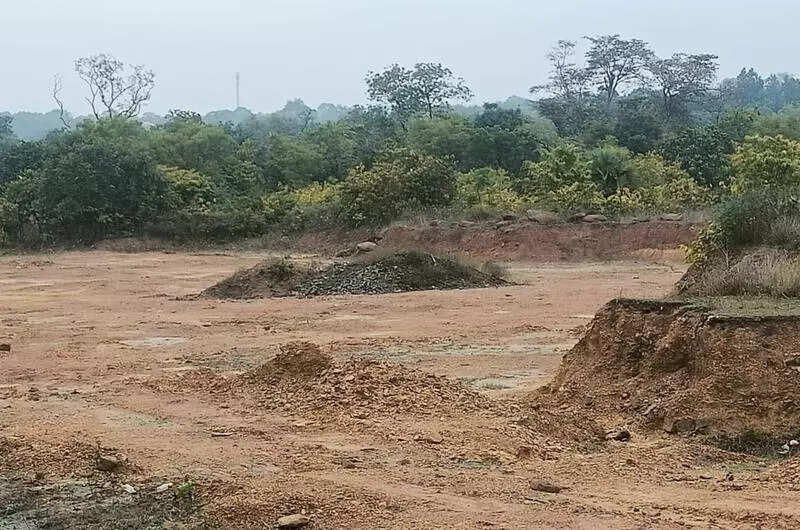 NGT asks OSPCB to recover Rs 1.20cr green compensation from firm for illegal morrum extraction