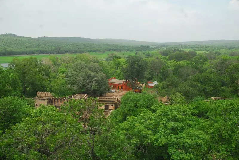 msid 121121166,imgsize 64260 https://jaipur.visitinrajasthan.com/wp-content/uploads/2023/10/cropped-cropped-R-2.png