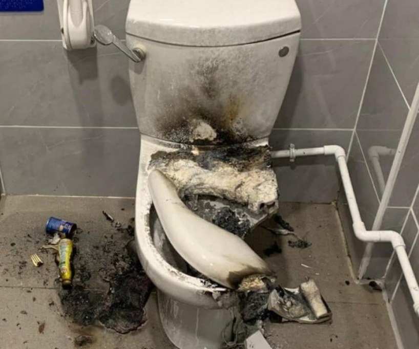 What! Normal toilet seat explodes in Noida home!