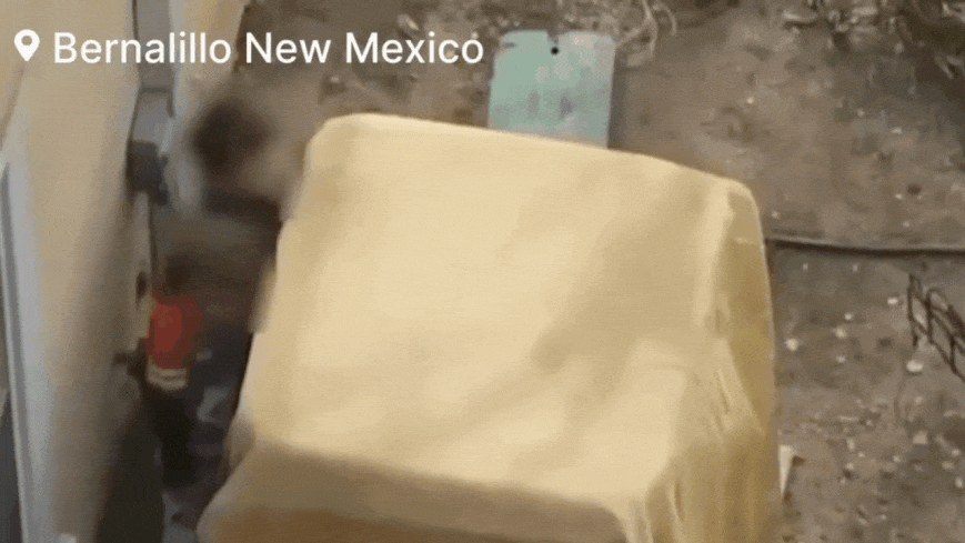 Drone footage shows deputies fire non-lethal weapon to disarm armed children