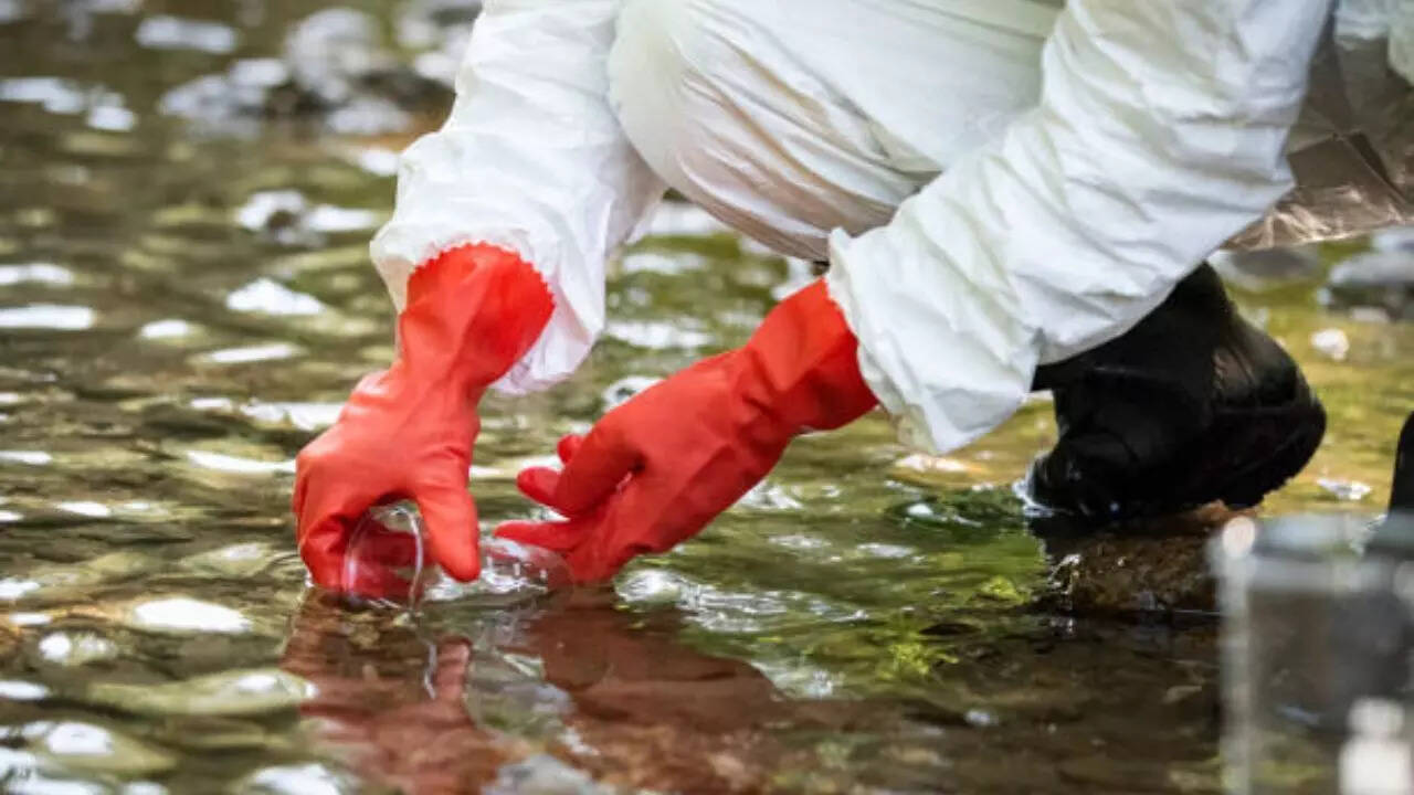 Were there signs of an outbreak?