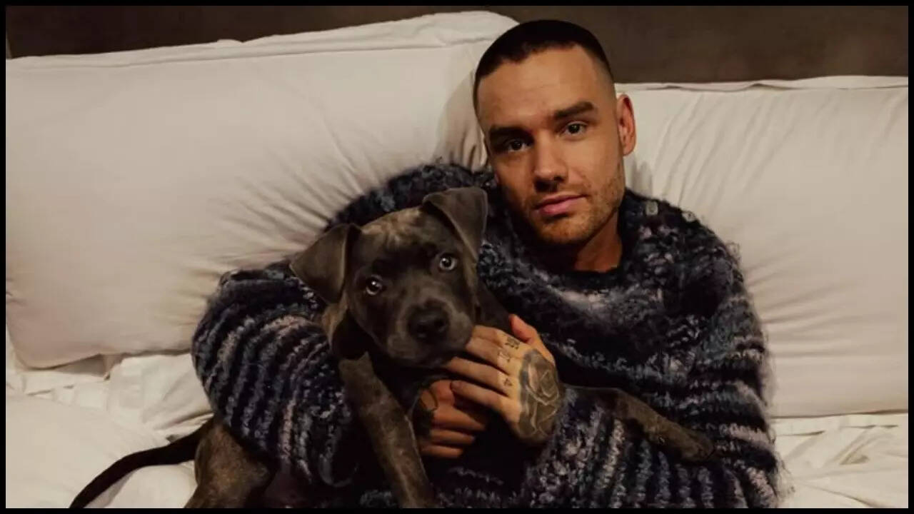 Liam Payne’s asset being sold on the black market