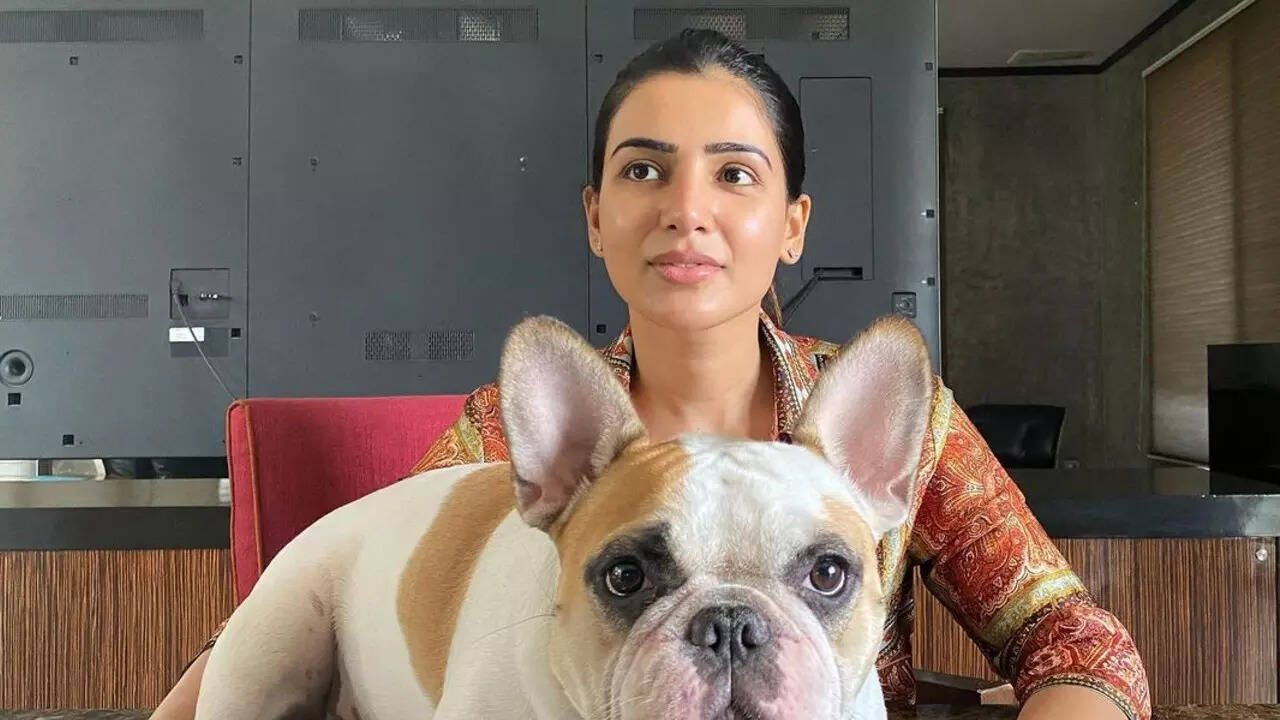 Inside Samantha’s lavish Jubilee Hills residence